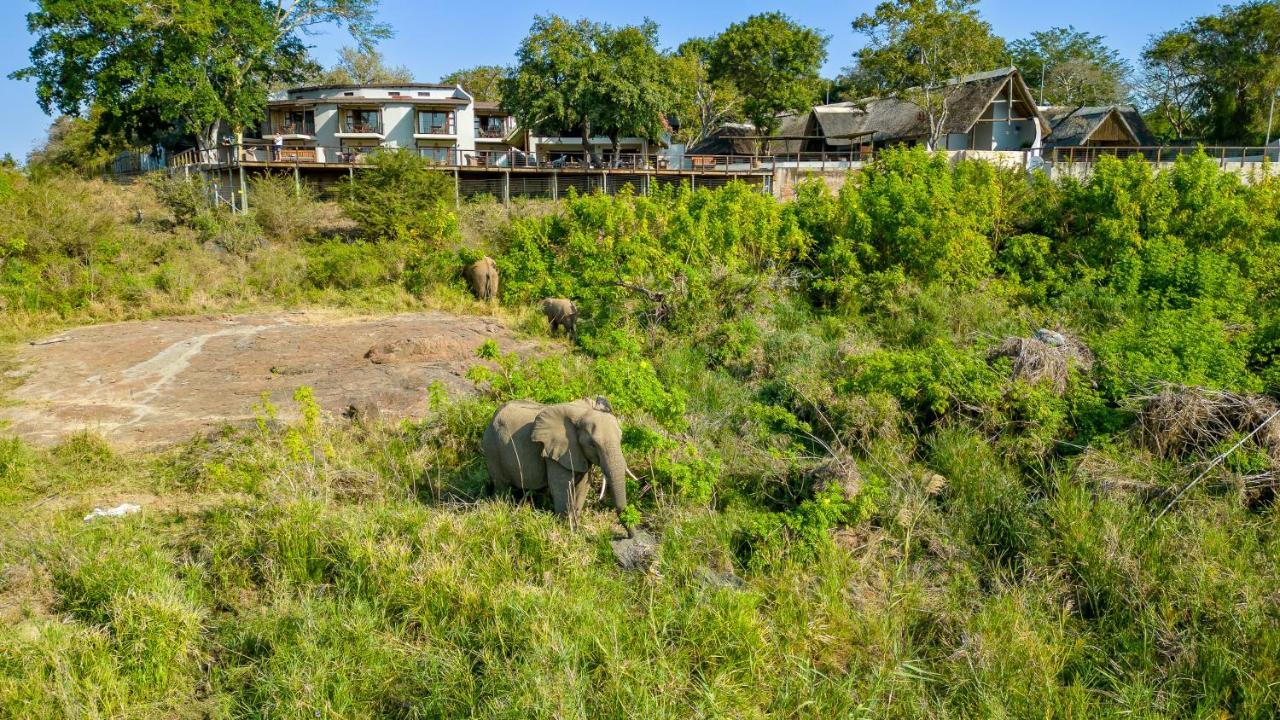 Buckler'S Africa Lodge Kruger Park Komatipoort Ngoại thất bức ảnh